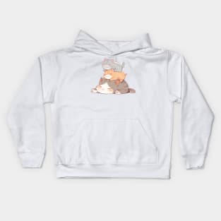 3 British Shorthair Cats Sleeping Kids Hoodie